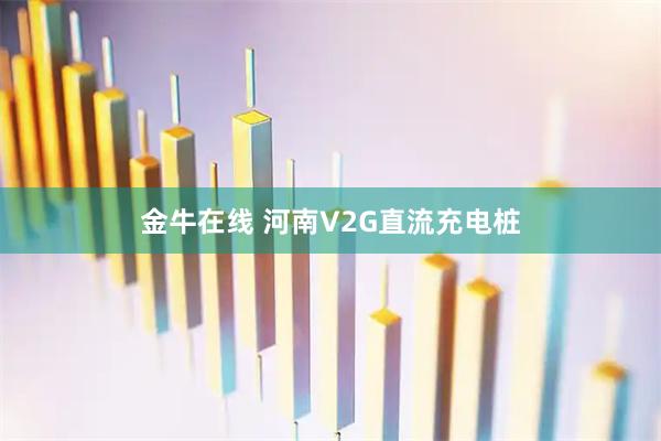 金牛在线 河南V2G直流充电桩