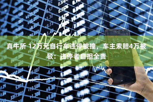 真牛所 12万元自行车违停被撞，车主索赔4万被驳：违停者自担全责