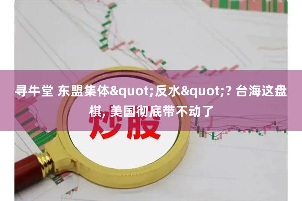 寻牛堂 东盟集体"反水"? 台海这盘棋, 美国彻底带不动了